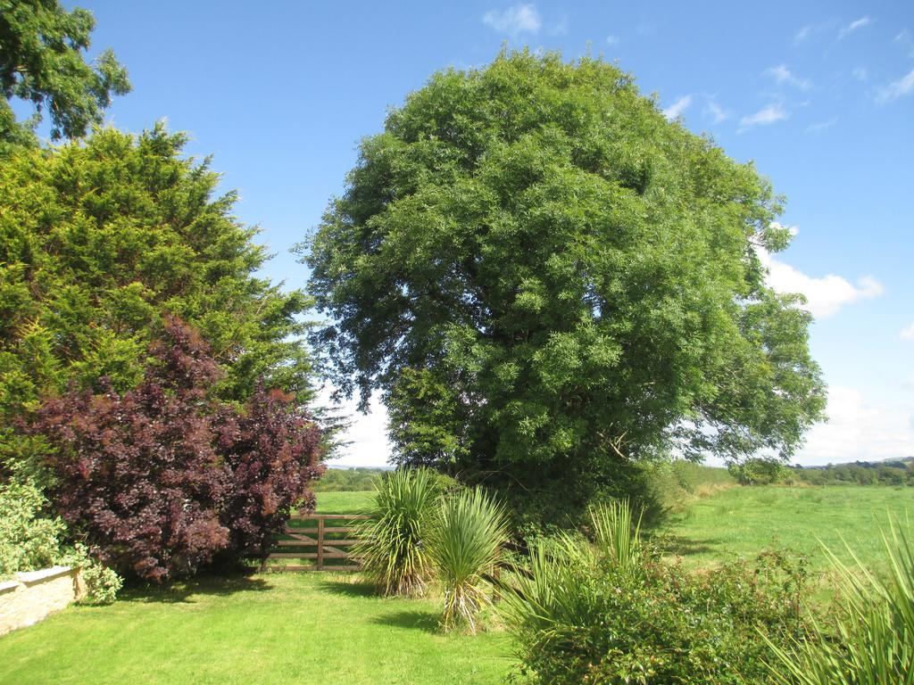 Tralia Farmhouse Self Catering Farranfore Bagian luar foto