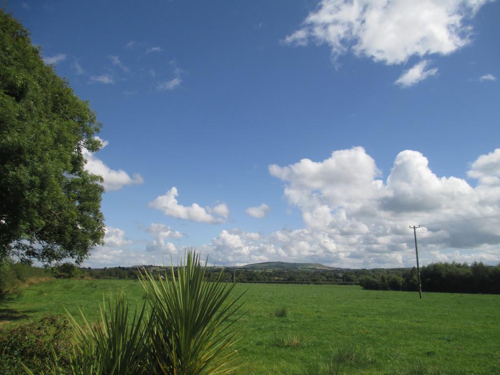 Tralia Farmhouse Self Catering Farranfore Bagian luar foto