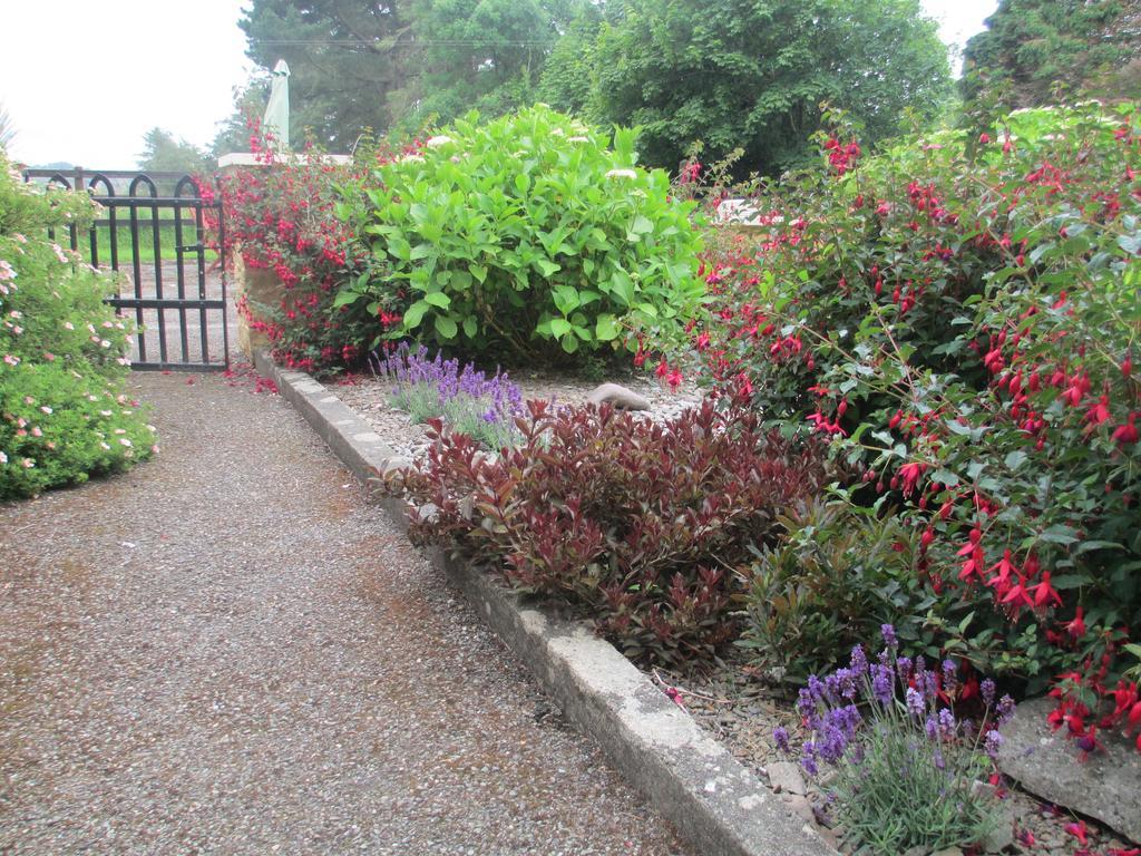 Tralia Farmhouse Self Catering Farranfore Ruang foto