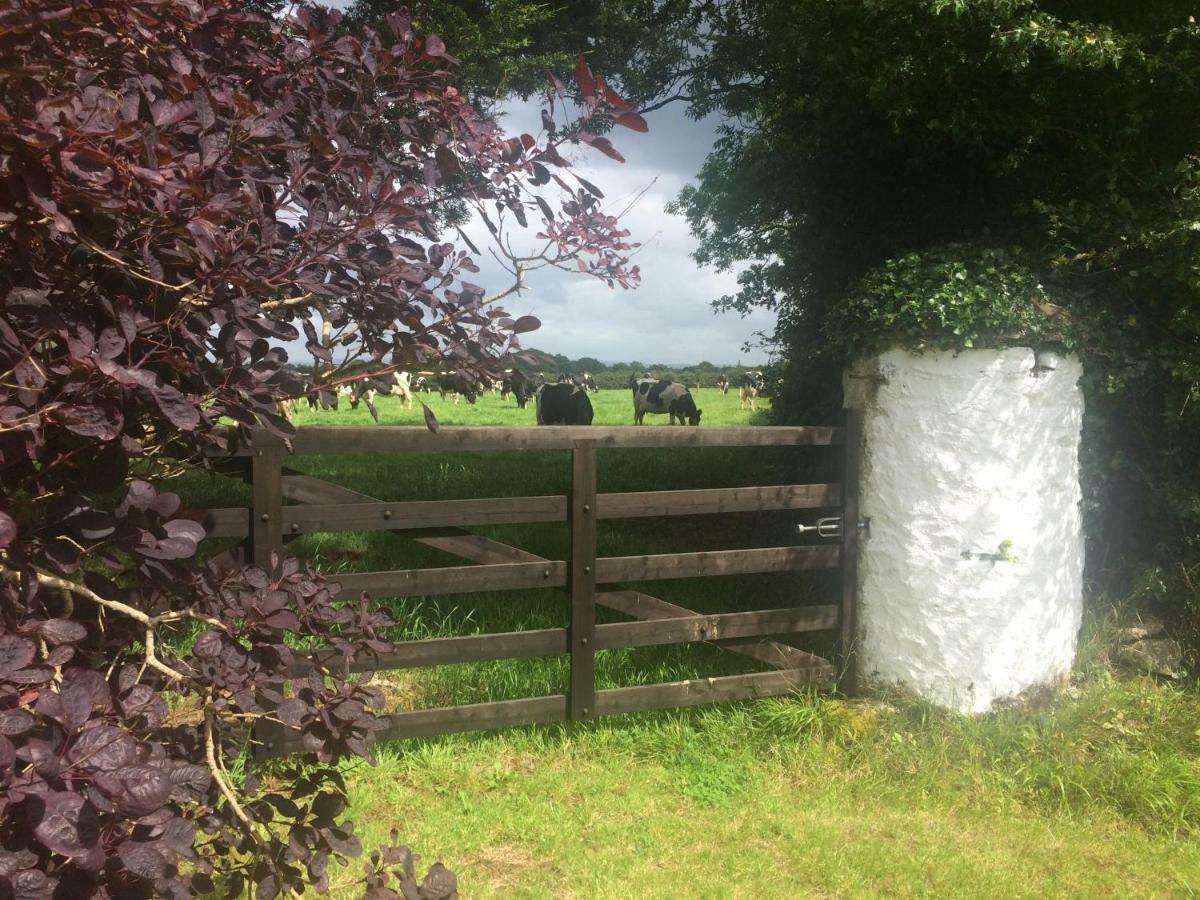 Tralia Farmhouse Self Catering Farranfore Bagian luar foto